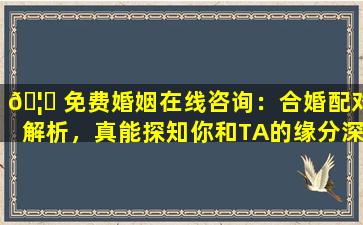 🦟 免费婚姻在线咨询：合婚配对解析，真能探知你和TA的缘分深浅吗